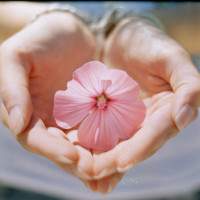 コーラフロート